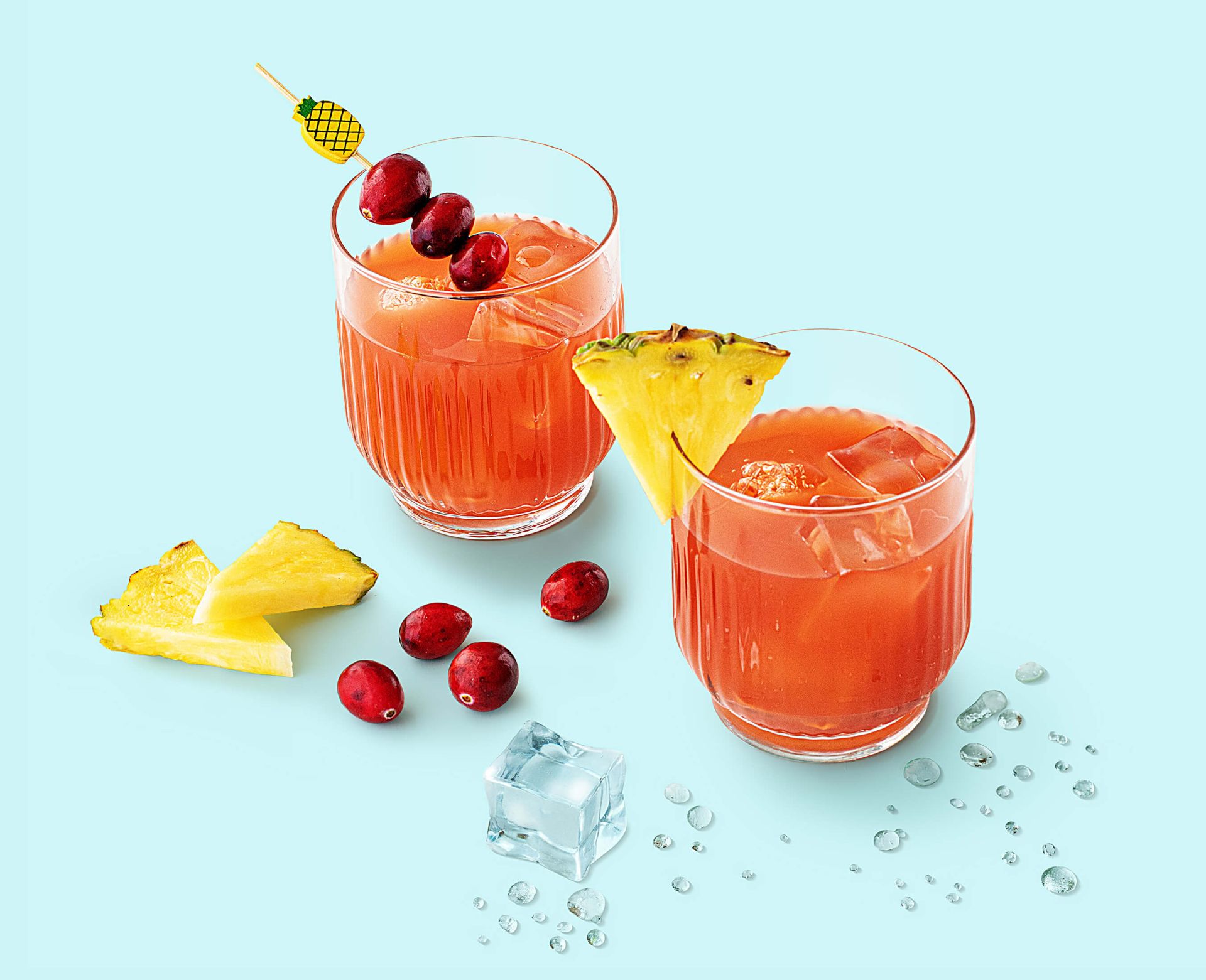 souslestropiques-web-retina souslestropiques-web-retina