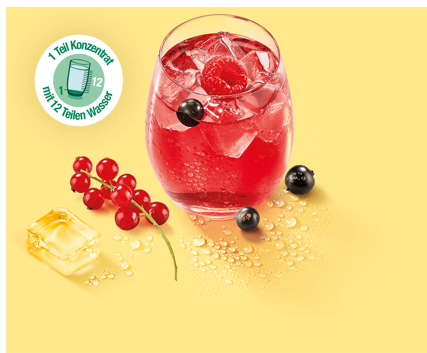 allemand-nos-engagements-lame05